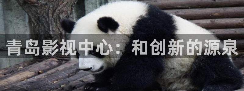 伊人春色高清影院：青岛影视中心：和创新的源泉