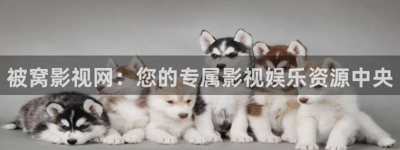 伊人亚洲影院：被窝影视网：您的专属影视娱乐资源中央