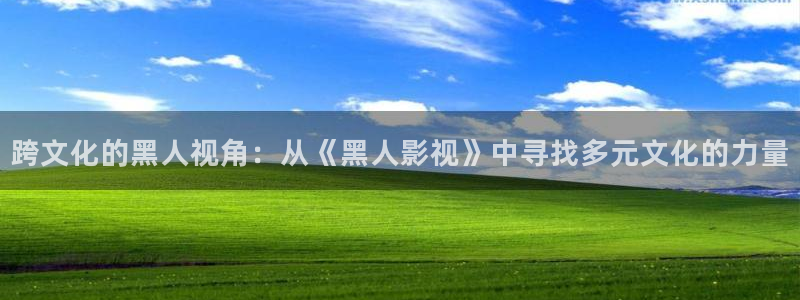 韩国伊人影院：跨文化的黑人视角：从《黑人影视》中寻找多元文化的力量