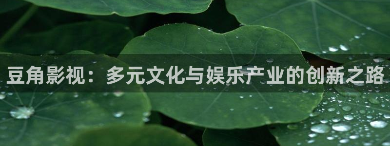 久久久久久伊人高潮影院九色：豆角影视：多元文化与娱乐产业的创新之路