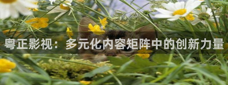 伊人影院55