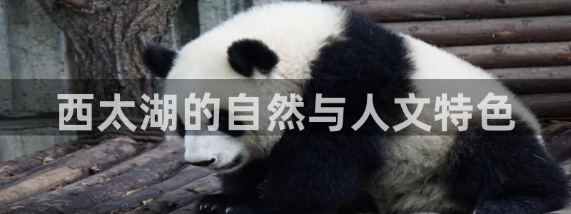 伊人电影院在线看