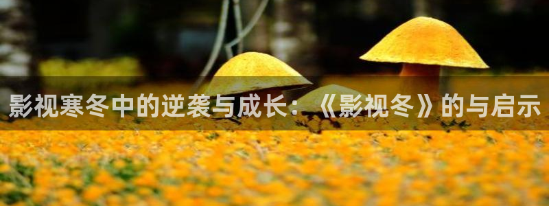 91伊人影视