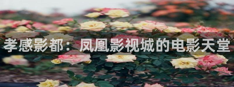 伊人久久精品视频